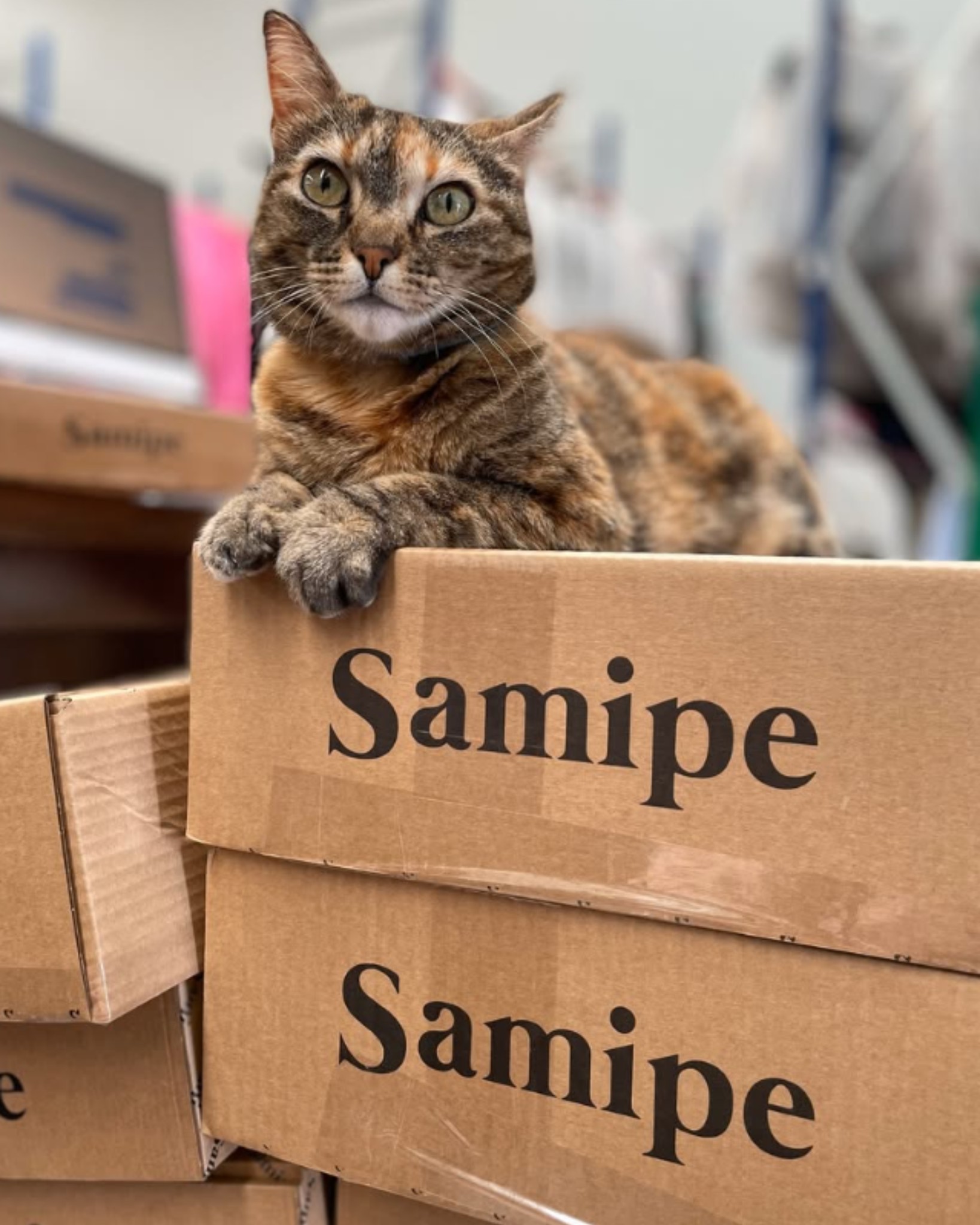 488521045_1098221955665545_7903462534783488235_n